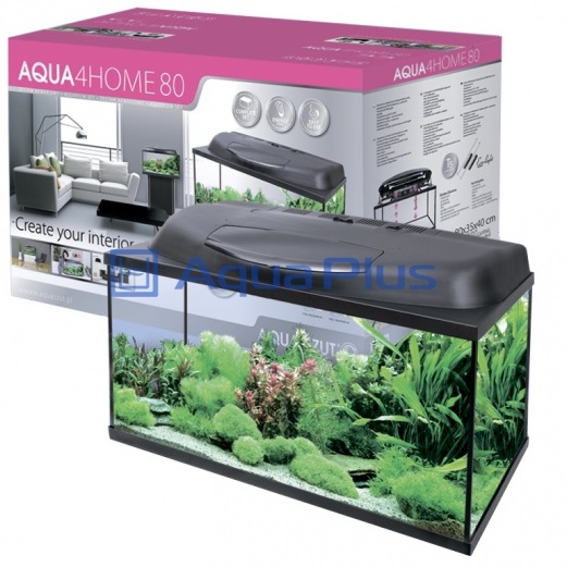 Home clearance 80 aquarium